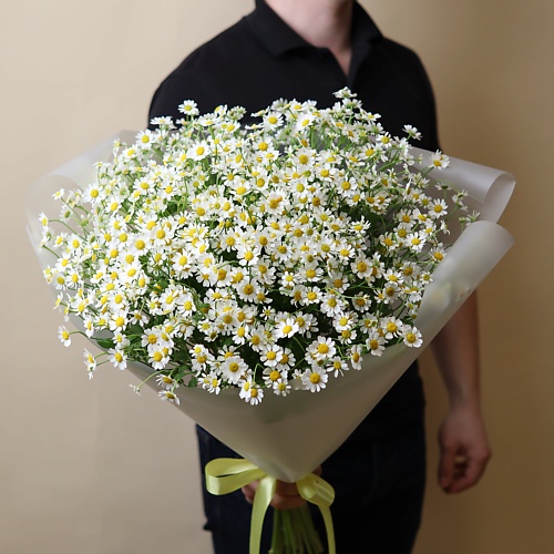 Букет живых цветов БУКЕТНЫЙ ДОМИК Букет из 15 ромашек